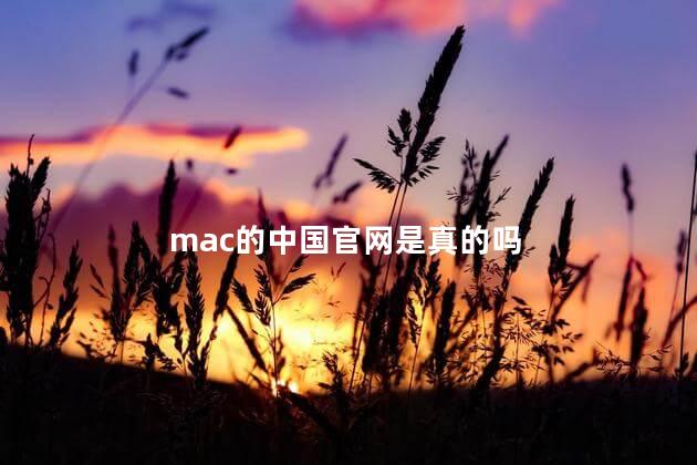 mac的中国官网是真的吗