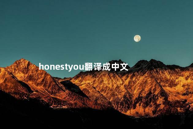 honestyou翻译成中文