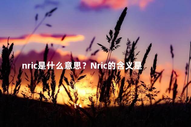 nric是什么意思？Nric的含义是什么